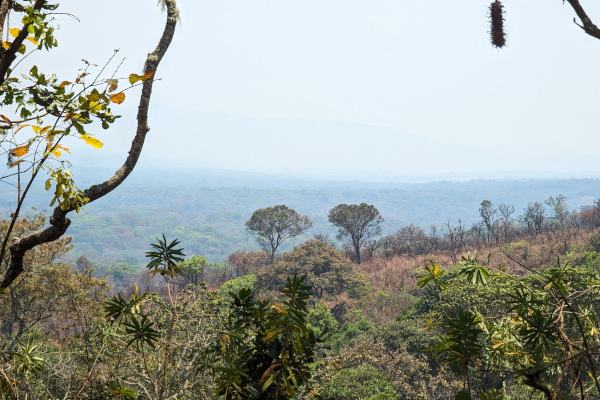 Phiri la pemphero
